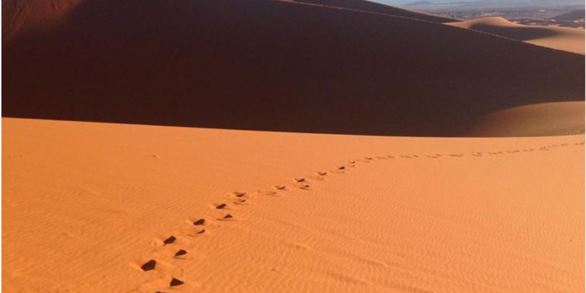 footsteps in desert sand 2