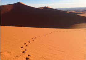 footsteps in desert sand 2