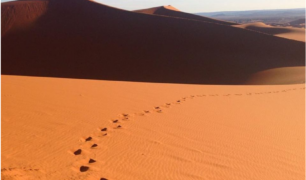 footsteps in desert sand 2