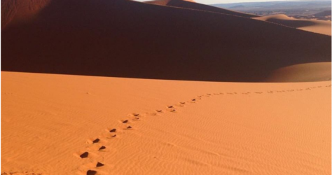 footsteps in desert sand 2