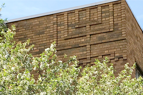 Menorah-relief-above-tree